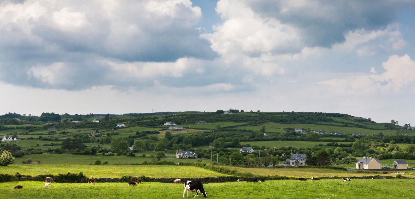 BCP Kilkenny