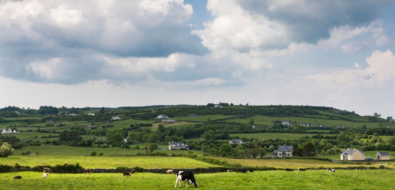 Limerick Rollout Updates
