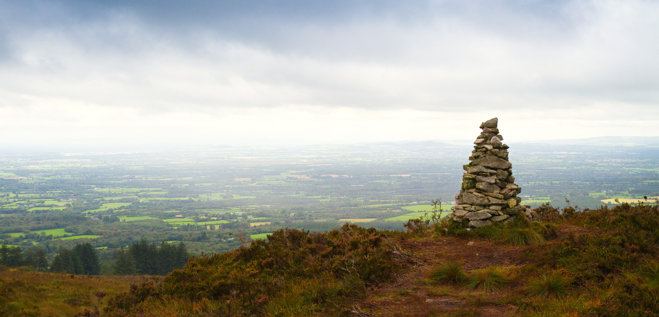 Laois Update
