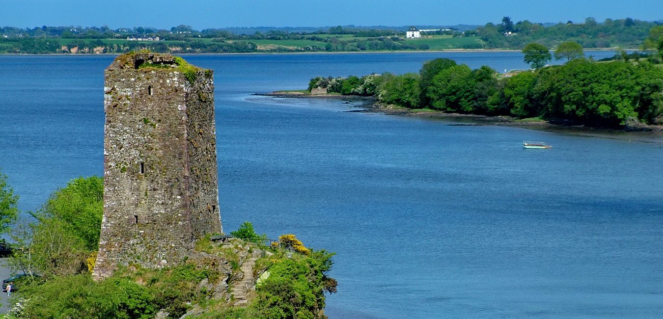 Rise Wexford