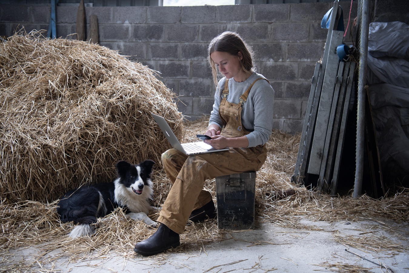 Photo of woman using laptop in farm shed.
