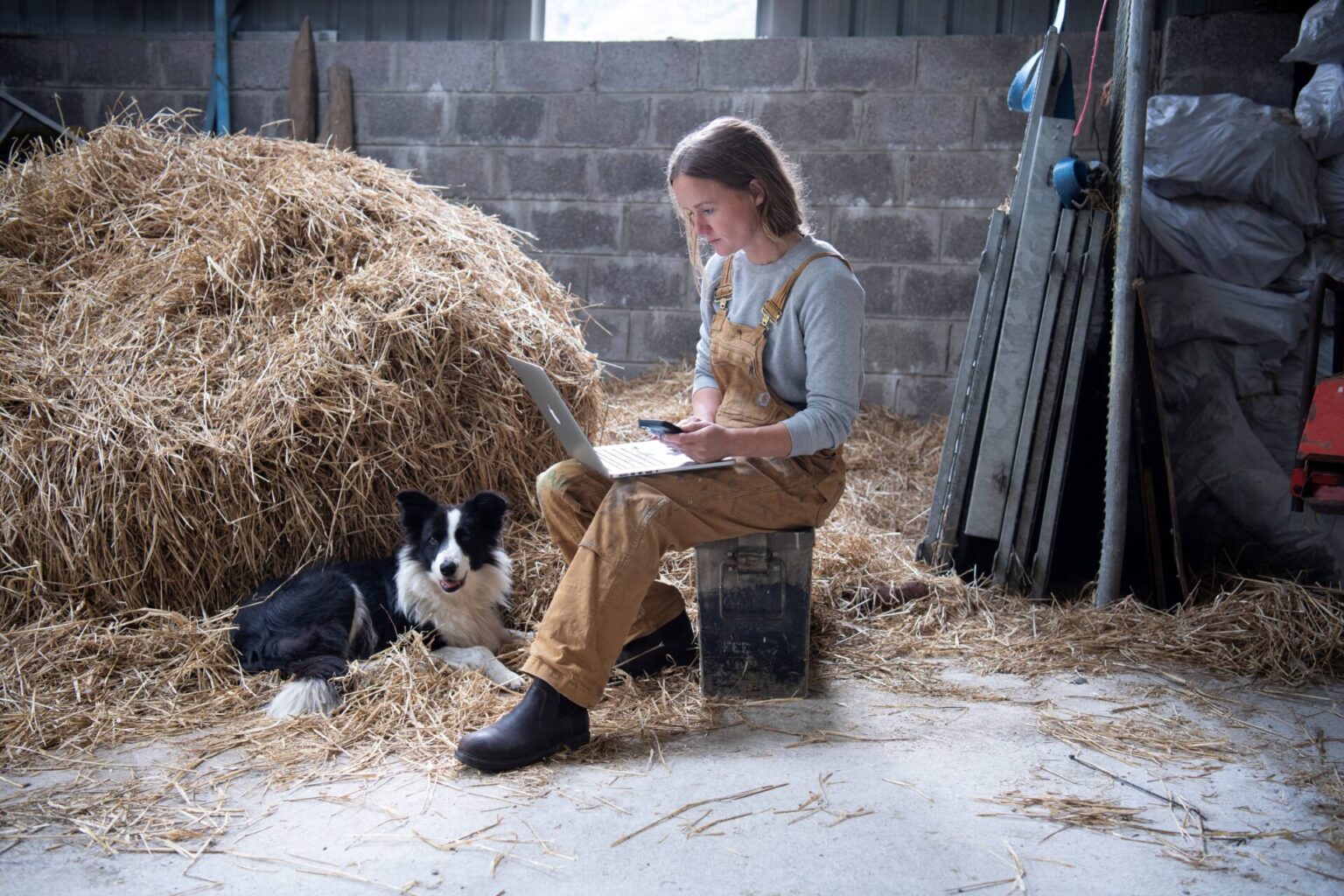 Twofold increase in number of connected farms as over 52,000 farms now have access to high-speed fibre under National Broadband Plan