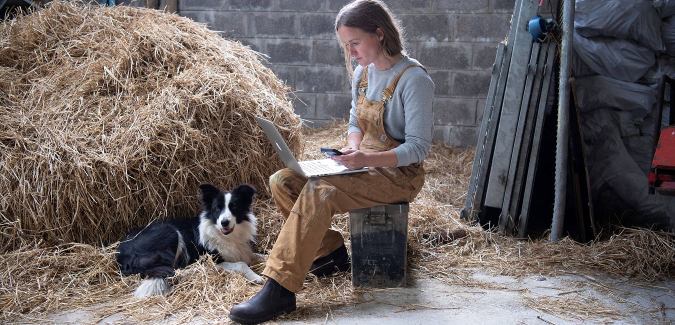 Almost 60,000 farms now have access to NBI network under the National Broadband Plan